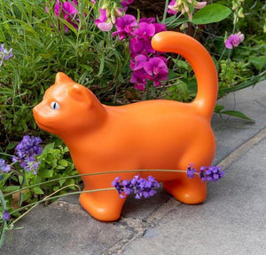 Cat Watering Can