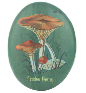 Meadow Waxcap Mushroom Art Decor