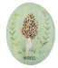 Morel Mushroom Art Decor