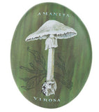 Virosa Mushroom Art Decor