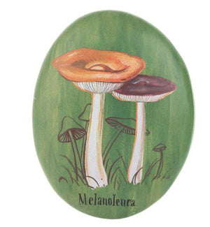 Melanoleuca Mushroom Art Decor