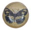 Butterfly Stoneware Plate