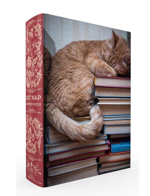 Cat Nap Book Puzzle