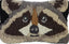 Raccoon Face Hooked Wool Pillow