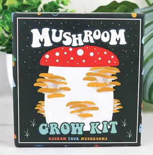 Mushroom Grow Kit