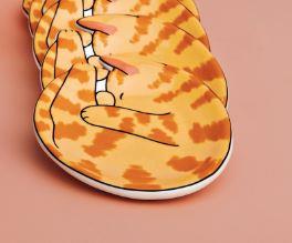 Orange Tabby Cat Dish