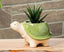 Turtle Planter