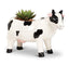 Holstein Cow Planter