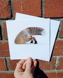 Fox Stuck In Snow - Notecards